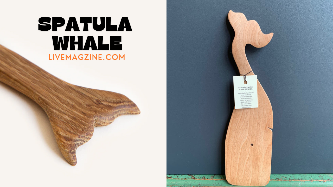 Spatula Whale