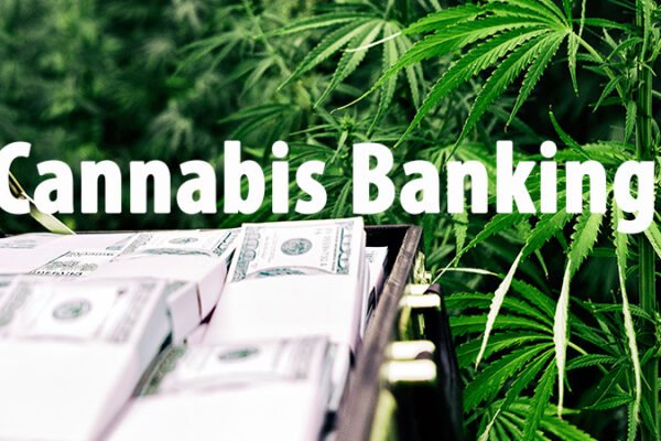 cannabis banking