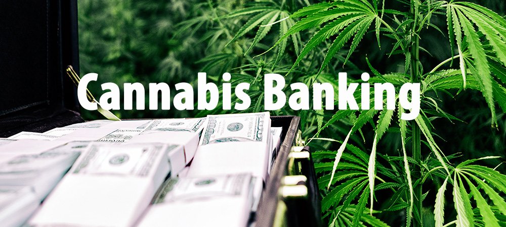 cannabis banking