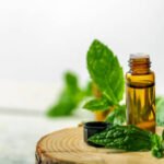 Peppermint Oil Supplier