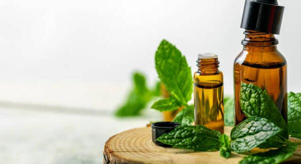 Peppermint Oil Supplier