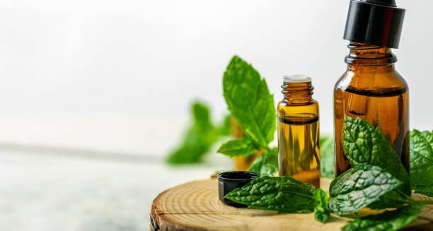 Peppermint Oil Supplier